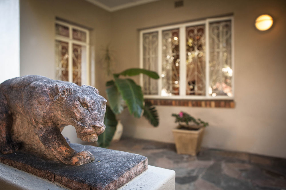 The Lions Guest House ケープタウン エクステリア 写真
